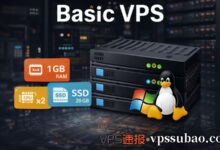 搬瓦工 Basic VPS 选购指南:$49.99 入门方案全解析-VPS速报