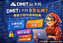 DMIT（大妈）怎么样？DMIT.io 商家信息详细介绍-VPS速报