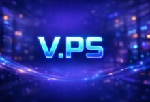 V.PS CN2 GIA：东京/新加坡，AS9929 企业级高端VPS，€46.95起-VPS速报