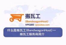 什么是搬瓦工(BandwagonHost)- 搬瓦工服务商简介-VPS速报