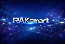 RAKsmart日本独立服务器：CN2直连/50M不限流量，$99起的高性能物理机-VPS速报