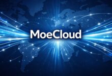 MoeCloud多伦多VPS：99元一年，AMD 7413处理器与大流量套餐-VPS速报