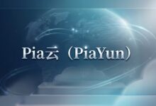 Pia云 深港 IEPL 独立服务器:移动/电信专线与企业跨境场景解析-VPS速报