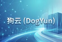 狗云 DogYun香港MG VPS:100M带宽,500GB流量,25元/月起-VPS速报
