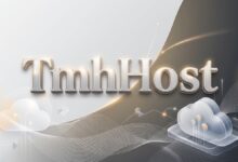 TmhHost 618 年中大促:美国双 ISP、香港三网优化,388元/年起-VPS速报